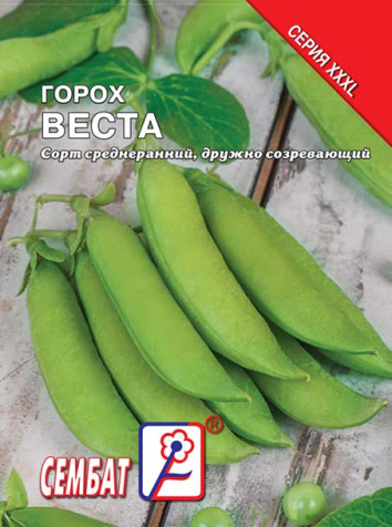 goroh vesta goroh vesta