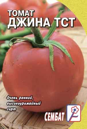 Томат ДЖИНА отзывы и фото раннего сорта помидоров