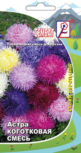 astra kogotkovay smes sbat-33-03-ru