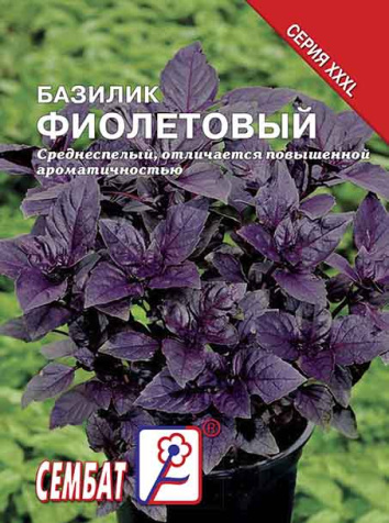 bazilik fioletovui sbat-124-07-ru bazilik fioletovui sbat-124-07-ru