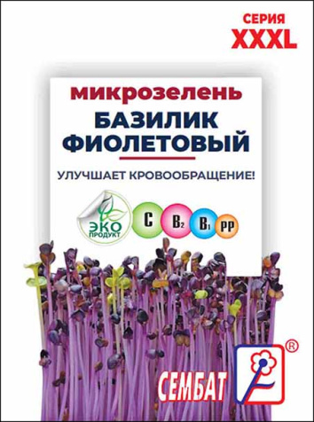 XXXL mikrozelen bazilik