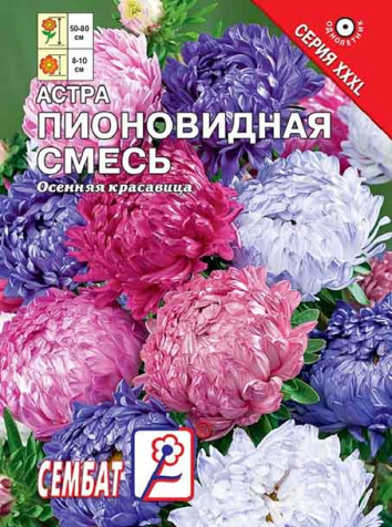 astra pyionovidndnda astra pyionovidndnda