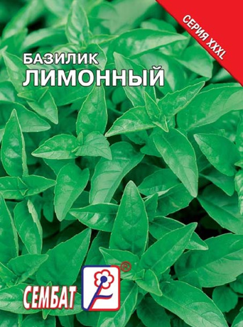 bazilik limonniy bazilik limonniy