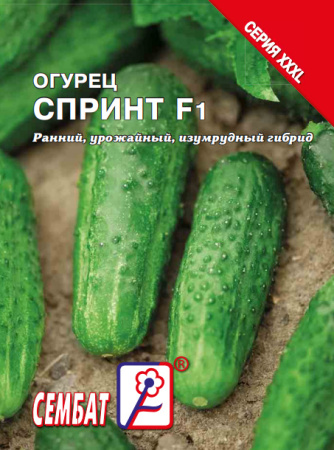 bandicam 2023-12-08 15-40-16-844