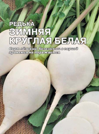 redka zimniaya kruglaya belaya sbat-261-04-ru