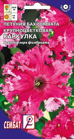 petuniay karkulka sbat-42-01-ru petuniay karkulka sbat-42-01-ru