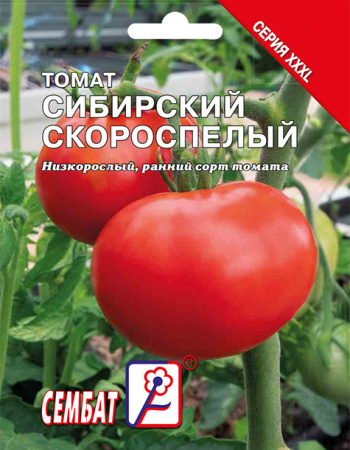 bandicam 2025-02-04 19-25-36-331 копия копия