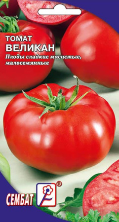 tomat velikan sbat-57-01-ru