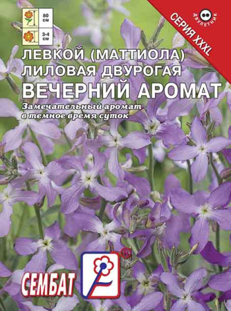 mattiola levkoi (nochnay fialka) vechernii aromat sbat-62-08-ru