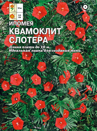 ipomeay kvamoklit slotera sbat-97-01-ru