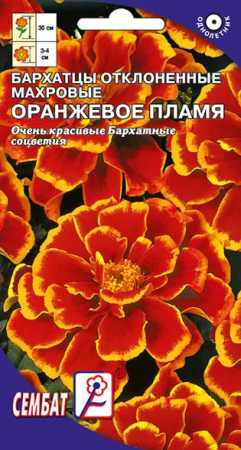 barhatcu orangevoe plamay sbat-36-01-ru