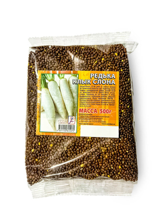 photo_2026-02-05_08-42-24 копия копия