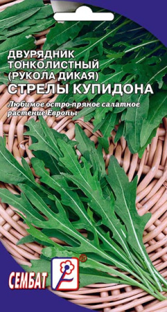 dvuraydnik strelu amura sbat-49-01-ru dvuraydnik strelu amura sbat-49-01-ru