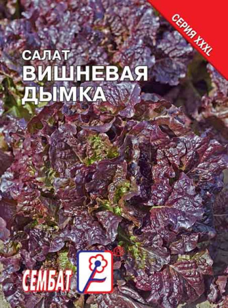 salat vishnevaya dumka sbat-27-01-ru