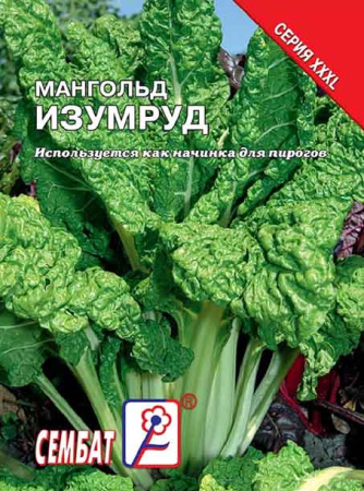 mangold izumrud