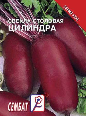 svekla cilindra sbat-155-07-ru.indd