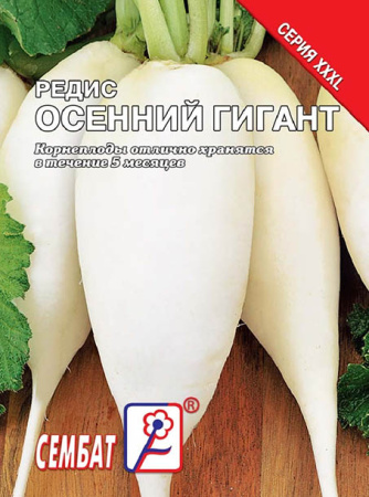 redis osennii gigant  sbat-310-06-ru redis osennii gigant  sbat-310-06-ru