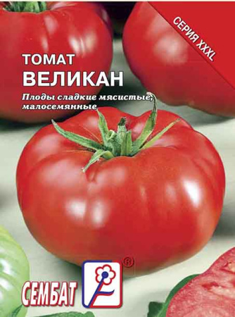 tomat velikan sbat-181-07-ru.indd