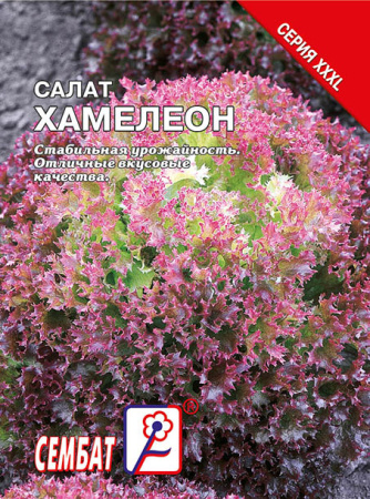 salat hamelion sbat-141-01-ru salat hamelion sbat-141-01-ru