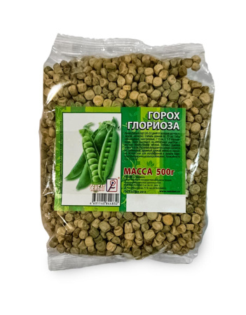 Горох-Глориоза копия