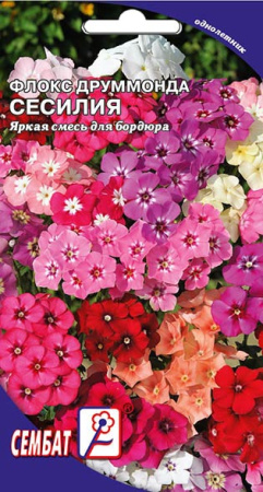 flox drummonda sesiliay sbat-09-01-ru