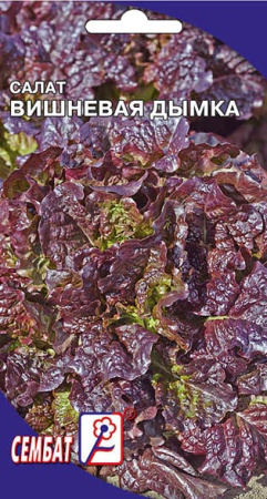 salat vishnevay dumka sbat-18-01-ru