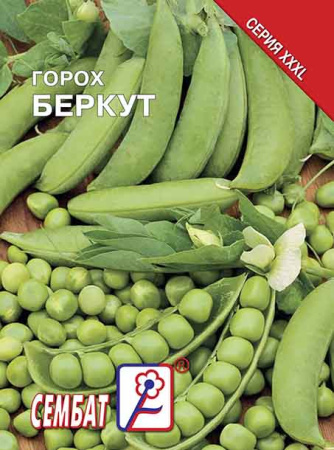 goroh berkyt sbat-02-07-ru