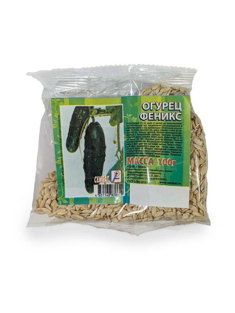 _Феникс копия копия