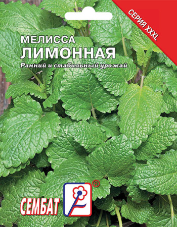 melissa-limonnay-sbat-306-09-ru