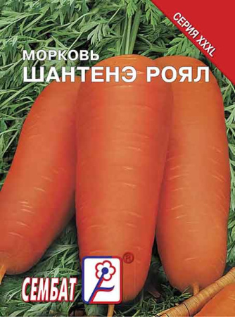 morkov shantane roayl sbat-31-07-ru morkov shantane roayl sbat-31-07-ru
