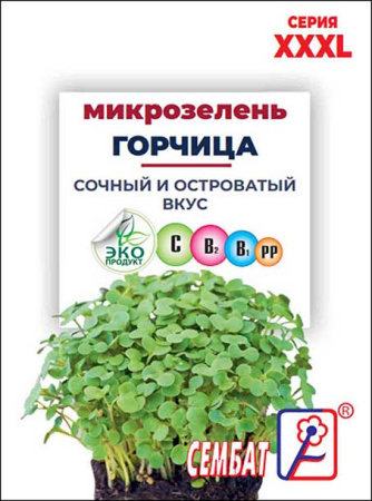 XXXL mikrozelen gorcica