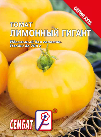 bandicam 2023-12-08 15-40-56-154