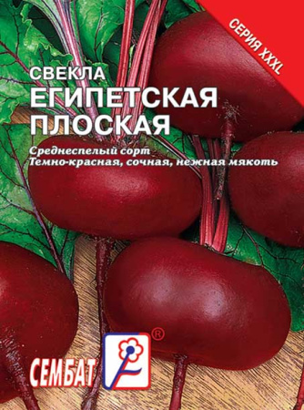 svekla egipetskaya ploskaya