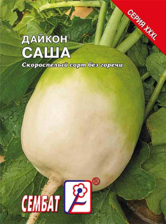 daikon-sasha-sbat-421-09-ru