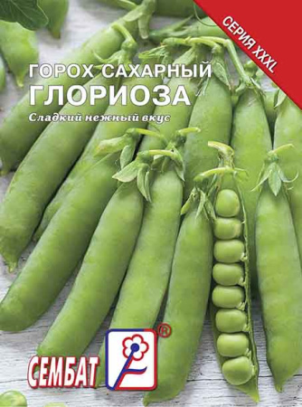 goroh glorioza sbat-239-07-ru