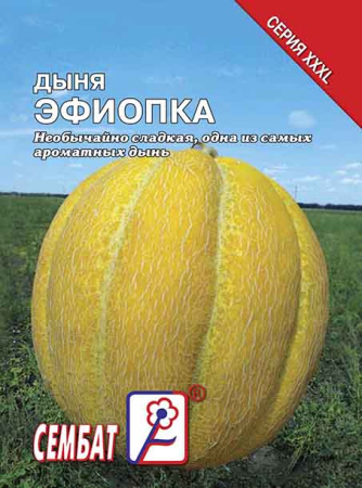 dinya efiopka sbat-112-08-ru.indd