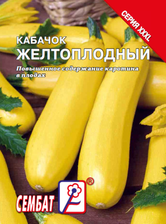 bandicam 2023-12-08 15-38-13-767