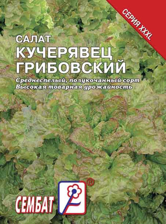 salat kucheriavec gribovskii sbat-25-08-ru