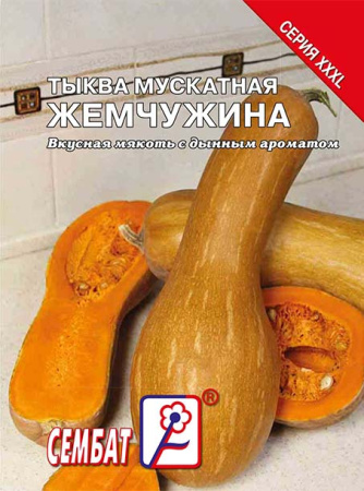 tikva-muskatnay-zhemchuzhina-sbat-426-09-ru tikva-muskatnay-zhemchuzhina-sbat-426-09-ru