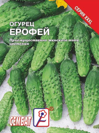 ogurec erofeei sbat-163-04-ru