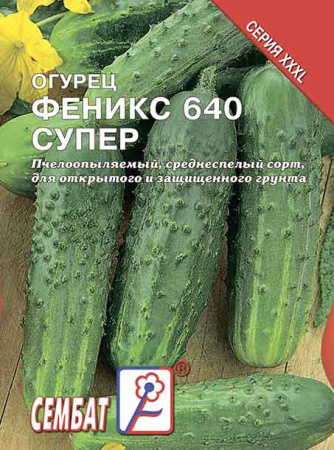 ogurec feniks 640 super sbat-01-07-ru