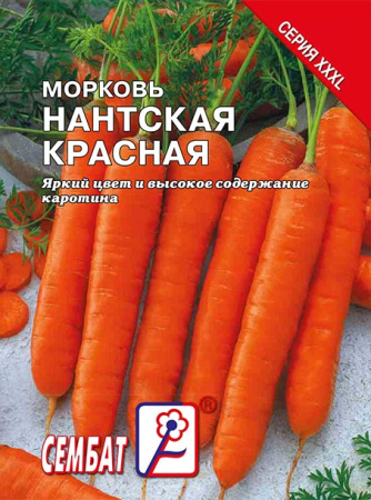 morkov-nantskay-krasnaya-sbat-423-09-ru morkov-nantskay-krasnaya-sbat-423-09-ru
