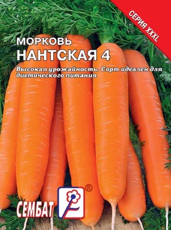 morkov nantskaya morkov nantskaya
