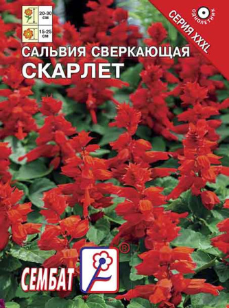 salviay skarlet sbat-382-07-ru.indd salviay skarlet sbat-382-07-ru.indd
