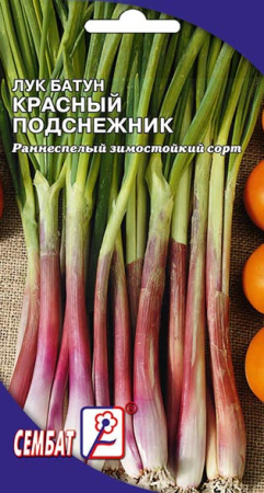 luk krasnui podsnezhnik sbat-51-01-ru