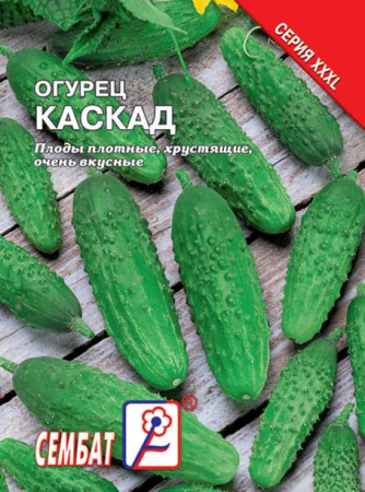 ogurec kaskad sbat-119-06-ru ogurec kaskad sbat-119-06-ru