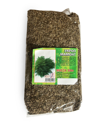 photo_2026-02-05_16-35-24 копия копия