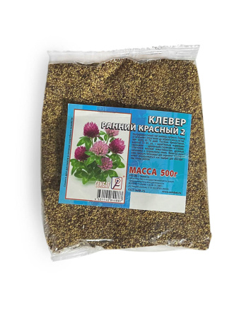 photo_2026-02-05_16-35-29 копия копия